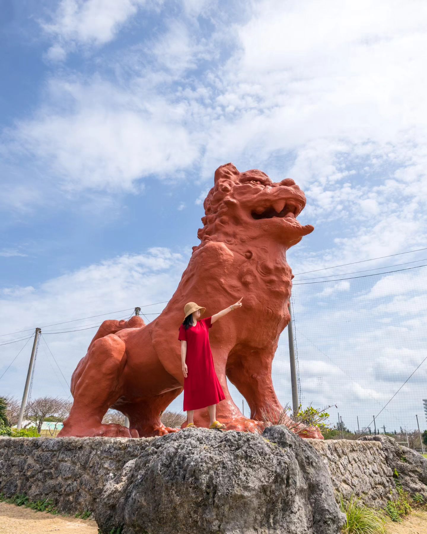 Hình ảnh minh họa