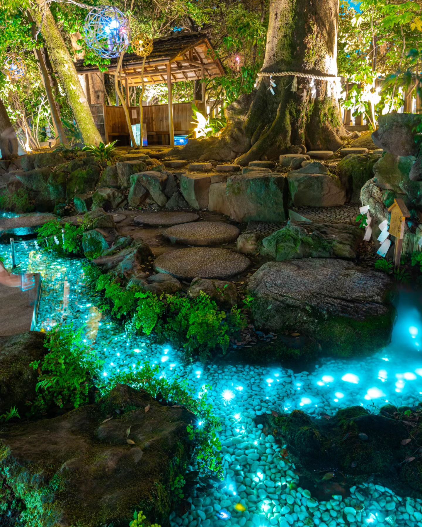 Hình ảnh minh họa